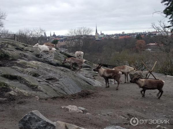 Музей Skansen (Швеция, Стокгольм) фото