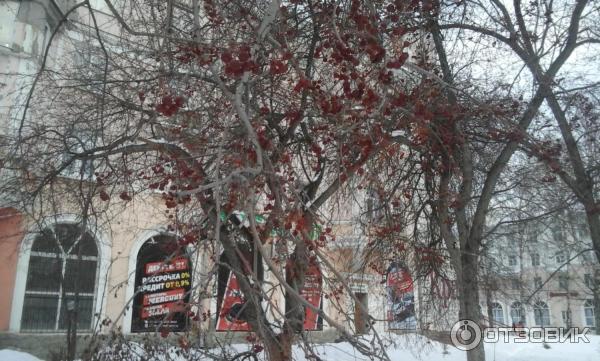 Экскурсия по г. Серов (Россия, Свердловская область) фото