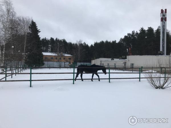 Звенигород Парк отель