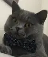 Аноним1736301