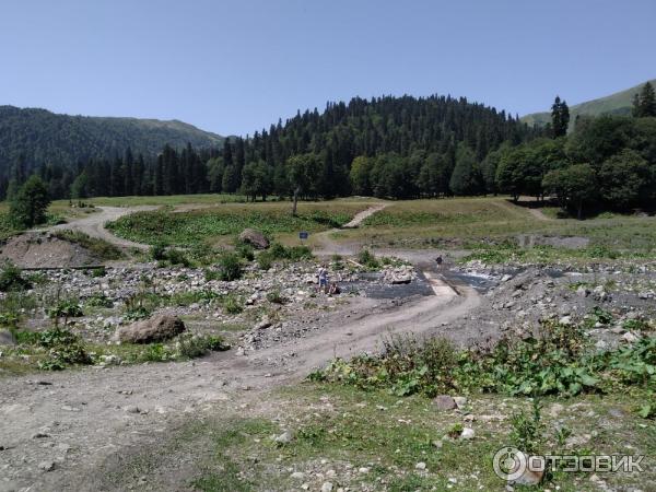 Экскурсия на Альпийские луга (Абхазия, Гудаутский район) фото