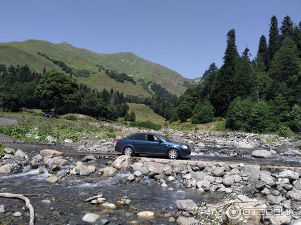 Экскурсия на Альпийские луга (Абхазия, Гудаутский район) фото