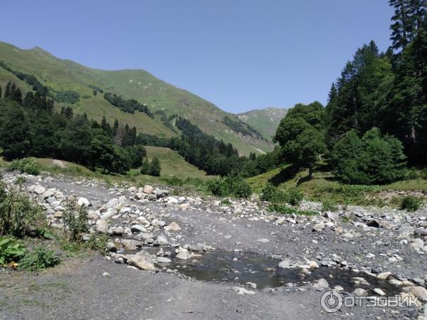 Экскурсия на Альпийские луга (Абхазия, Гудаутский район) фото