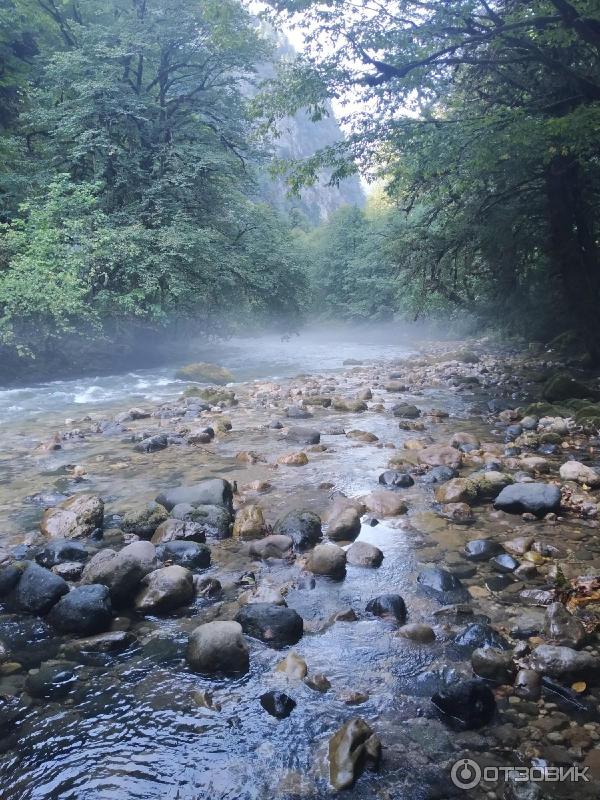 Экскурсия на Альпийские луга (Абхазия, Гудаутский район) фото