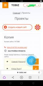 Tobiz.net - онлайн конструктор сайтов фото