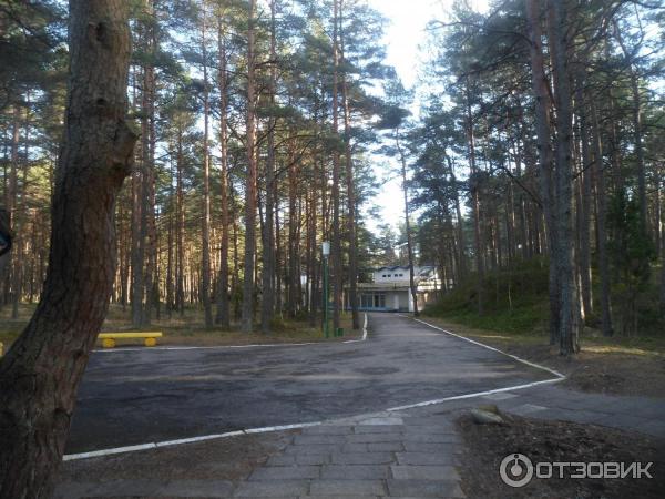 Фото Санатория Янтарный Берег