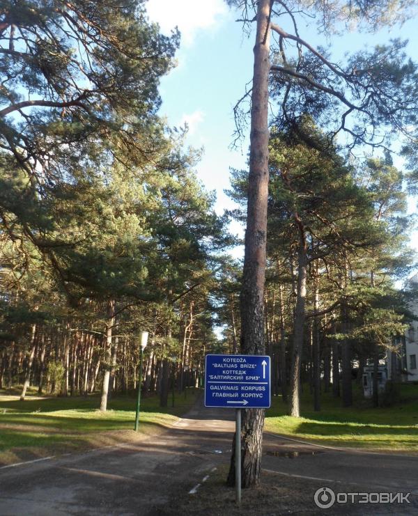 Фото Санатория Янтарный Берег