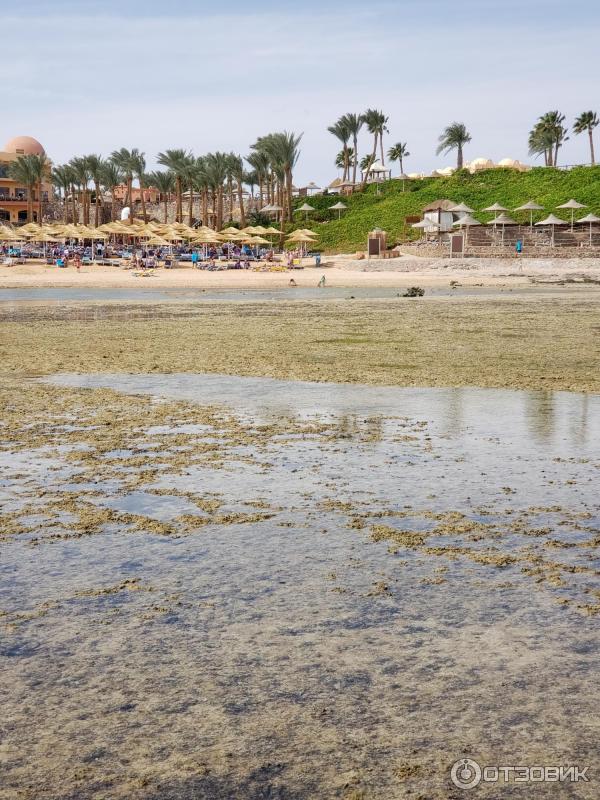 Отель Nubian Island Hotel 5 Фото Отзывы