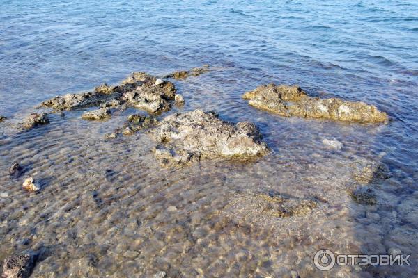 Бухта Казачья Севастополь