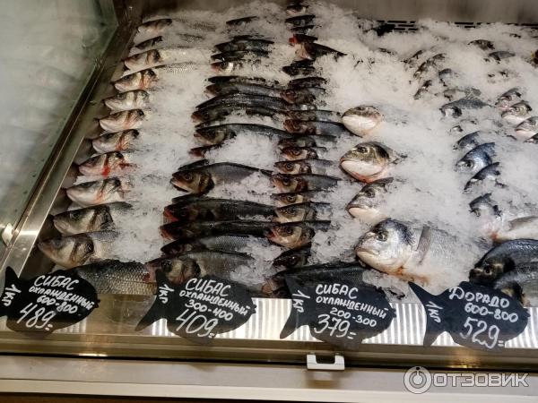 Меню моремании