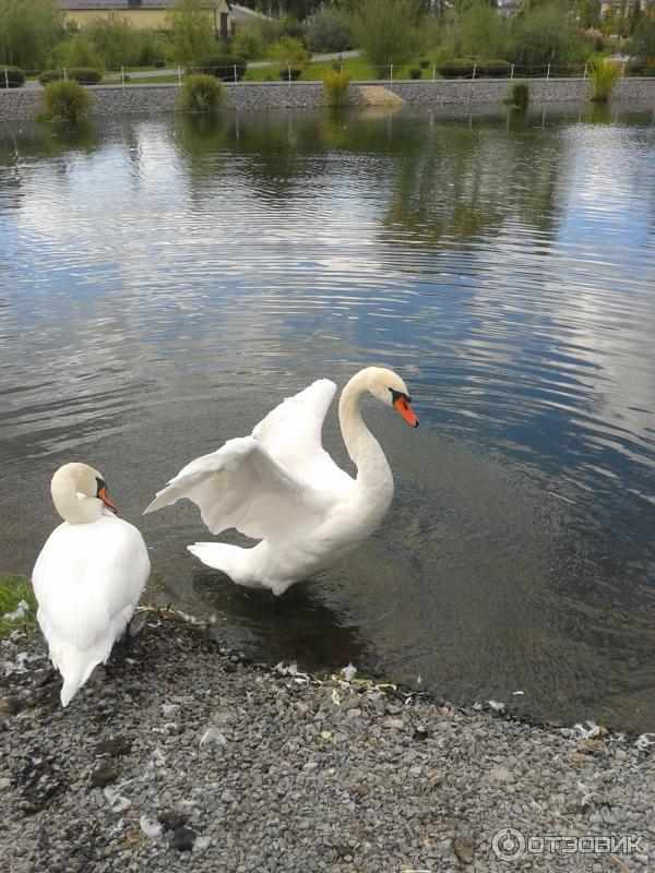 Экскурсия по г. Вольск (Россия, Саратовская область) фото