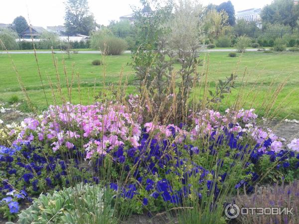 Экскурсия по г. Вольск (Россия, Саратовская область) фото