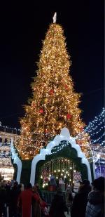 Экскурсия по г. Киев (Украина) фото