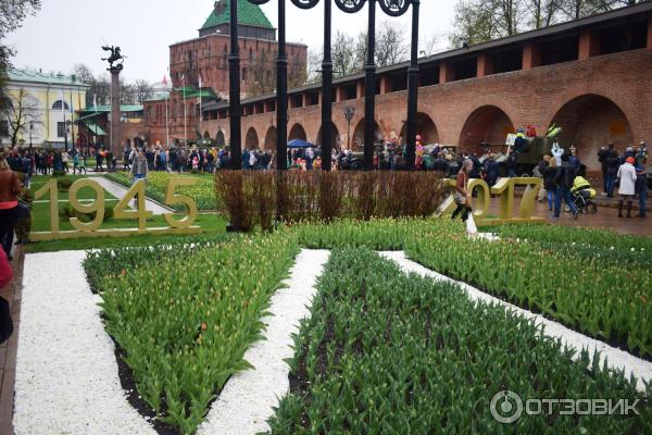 Нижегородский Кремль (Россия, Нижний Новгород) фото