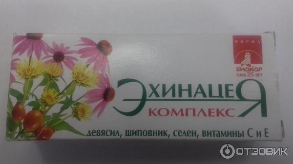 Биокор эхинацея
