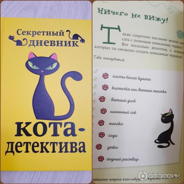 Кот уинстон книга. Фрауке Шойнеманн приключения кота детектива. Приключения кота детектива Фрауке Шойнеманн секретный дневник. Книга приключения кота детектива секретный дневник.