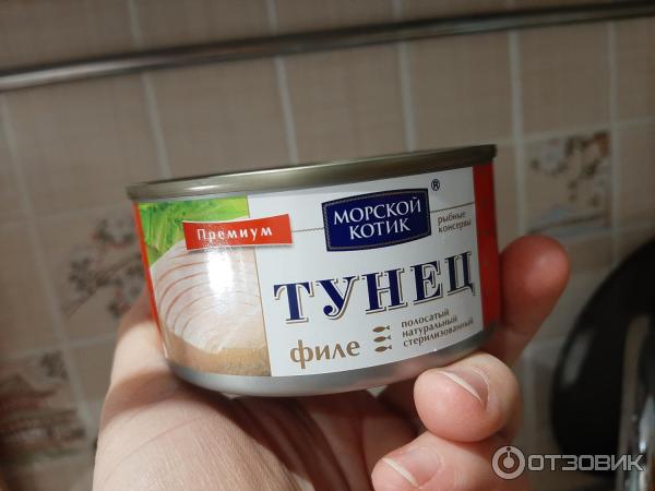 Тунец Морской котик