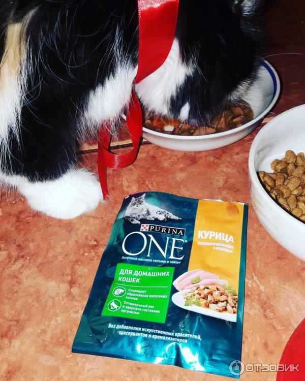 Влажный корм пурина для кошек. Пурина Ван мокрый корм. Purina one влажный корм.