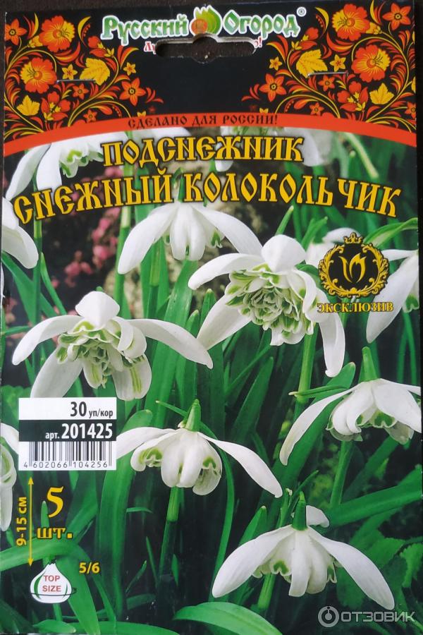 Купить Луковицы Подснежников В Интернет Магазине Недорого