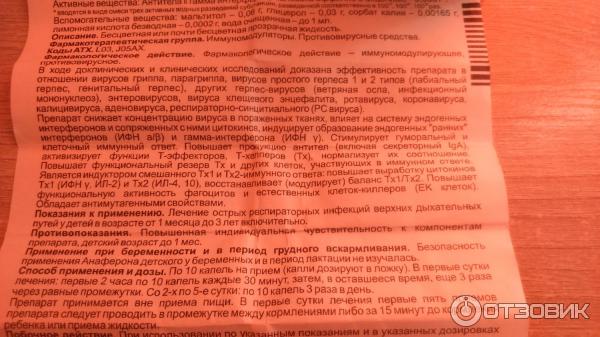 Анаферон при ротовирусе. Анаферон при герпесе. Анаферон взрослый капсулы. Анаферон детский при беременности отзывы. До скольки лет можно пить анаферон детский.