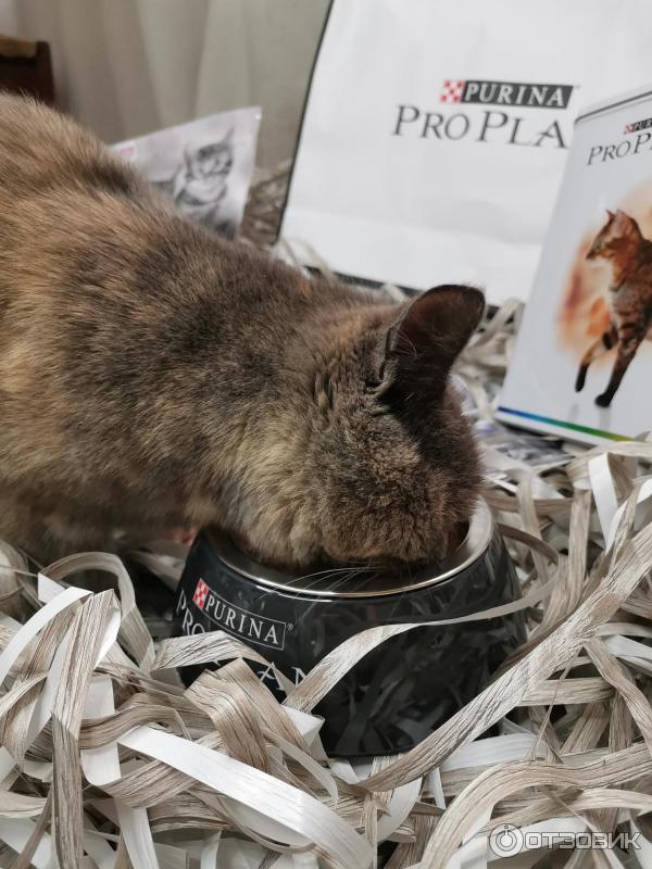 Корм для котят Purina Pro Plan фото