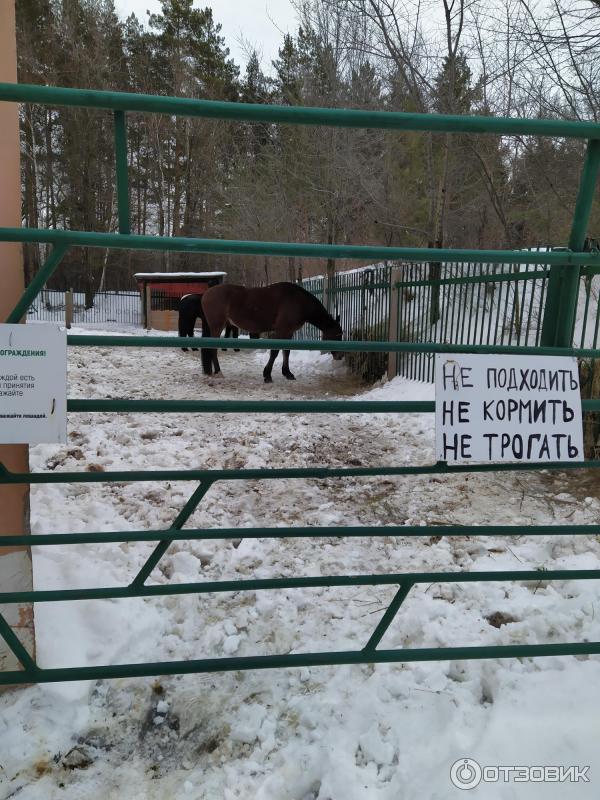 Оздоровительный санаторий Циолковский (Россия, Самарская область) фото