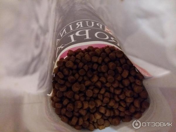 Сухой корм для котят Proplan Purina Delicate фото