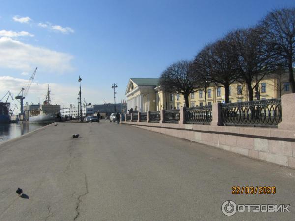 Пешая прогулка по набережной Невы на Васильевском острове (Россия, Санкт-Петербург) фото