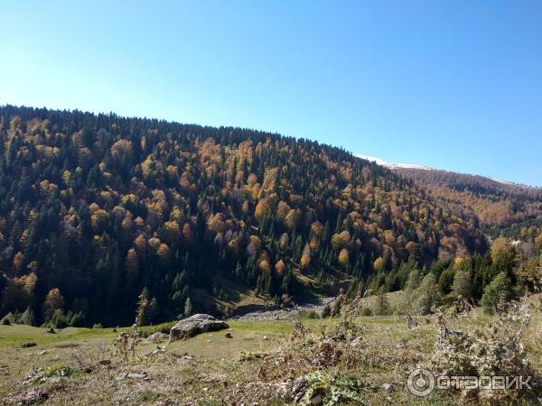 Гостевой дом Eka Guest House (Грузия, Батуми) фото