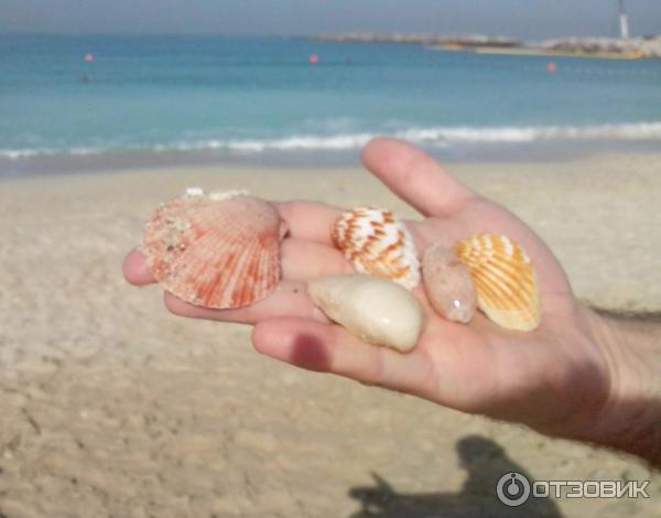 Пляж Jumeirah Open Beach (ОАЭ, Дубай) фото