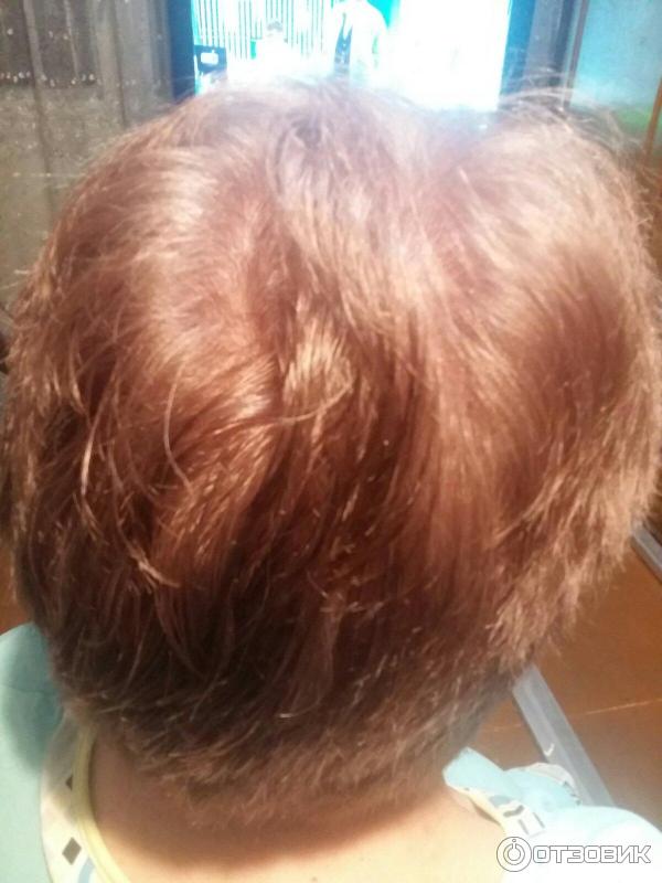 Крем-краска для волос GARNIER Color Naturals 6.25 Шоколад фото