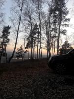 Автомобиль Nissan X-Trail T31 внедорожник фото