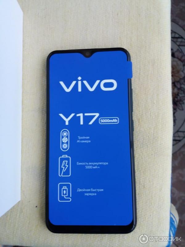 Смартфон Vivo Y17 фото