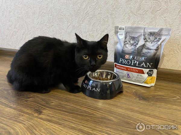 Корм для котят Purina Pro Plan фото