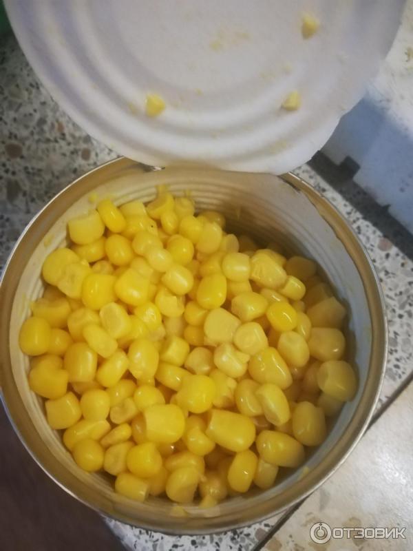 Мини кукуруза в банке. Позавтракал кукурузой из банки. Банка из под кукурузы. Насекомые в кукурузе банке. Позавтракал кукурузой из банки.