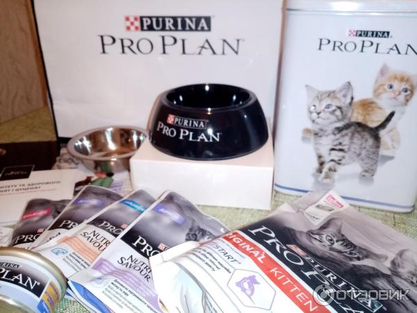 Корм для котят Purina Pro Plan фото