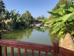 Динопарк Discoveryland (Турция, Манавгат-Илича) фото