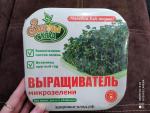 Проращиватель пищевых проростков "Здоровья клад" фото