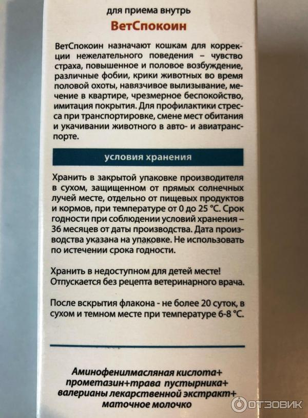 Снотворное для кошек