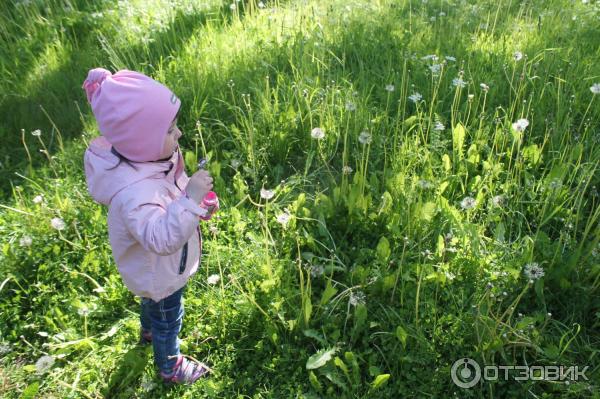 Путешествие на остров Валаам фото