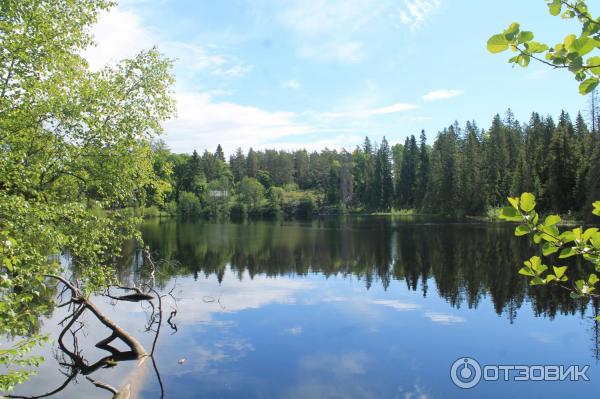 Путешествие на остров Валаам фото