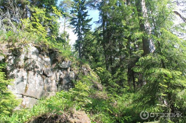 Путешествие на остров Валаам фото