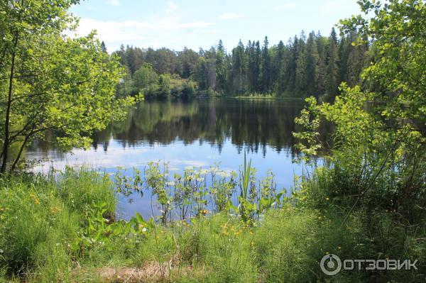 Путешествие на остров Валаам фото