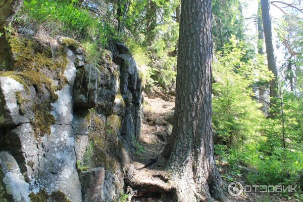 Путешествие на остров Валаам фото