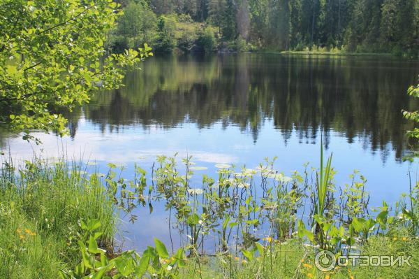 Путешествие на остров Валаам фото