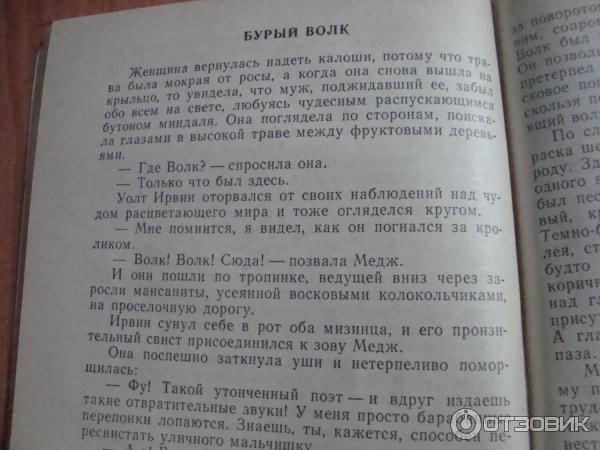 Джек лондон бурый волк текст полностью. Рассказ бурый волк. Бурый волк Джек Лондон. Лондон бурый волк.