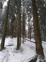 Парк семейного отдыха и экотуризма Зубровник (Россия, Токсово) фото