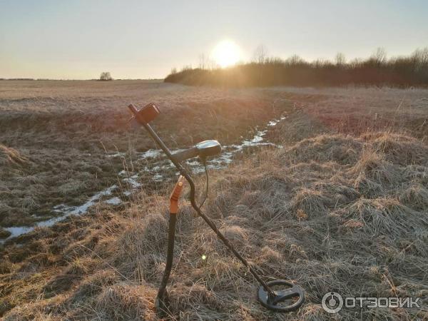 Металлоискатель Minelab X-TERRA 705 фото