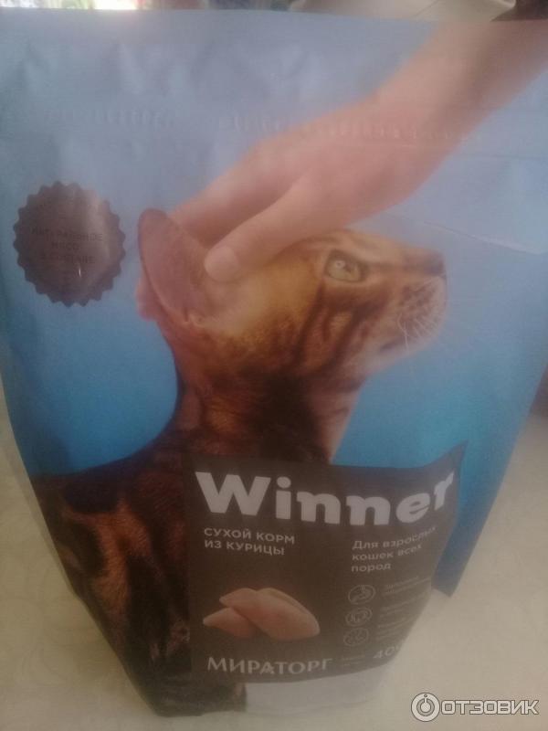 Корм для кошек Мираторг Winner фото