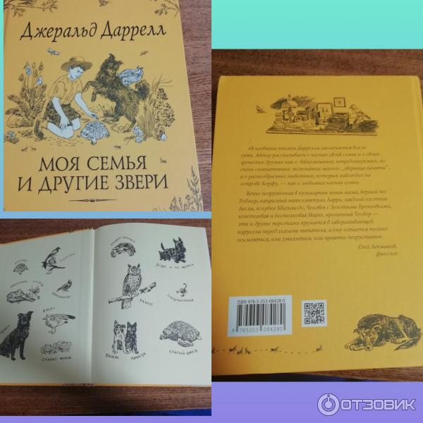 Джеральд даррелл моя семья. Джеральд Даррелл моя семья и другие звери. Моя семья и другие животные книга. Моя семья и другие звери книга. Моя семья и другие звери» Автор Джеральд Даррелл.